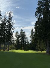 Hole 4a.